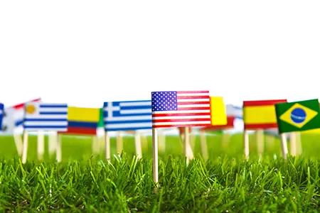 Elçilik Güvenliği